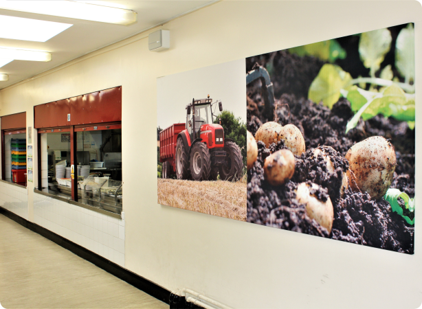 acoustic panels covered with photographs